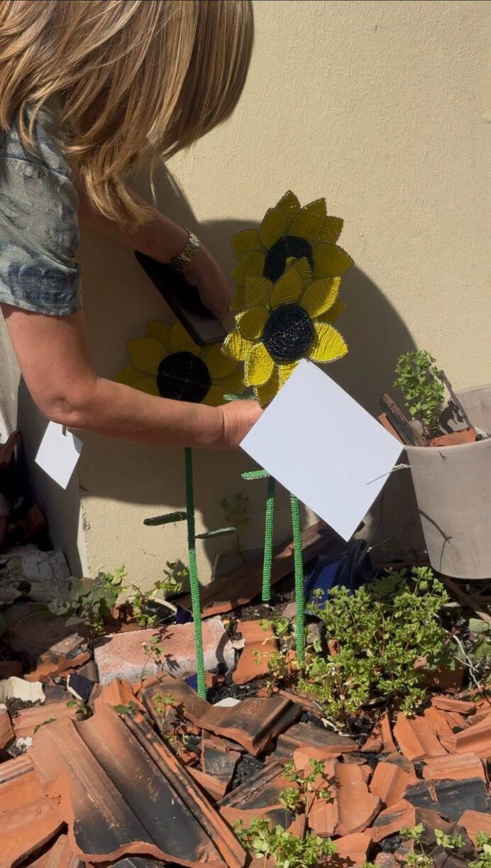 Sunflower2