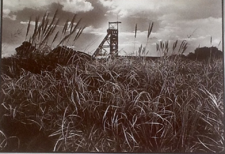 Crown Mines, Johannesburg (photograph: Helen Aron)